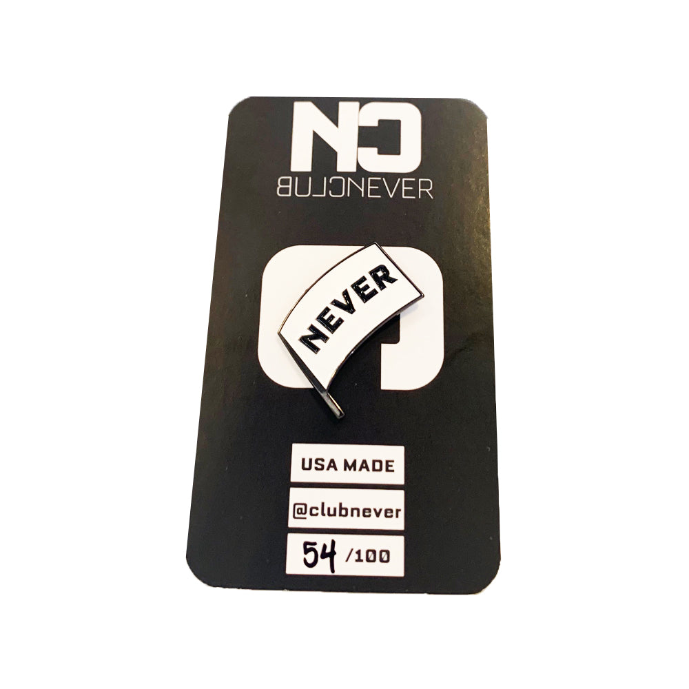 Never Surrender Flag Pin