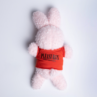 Sonic Youth Fuzzy Bunny Stuffed Animal - Pink