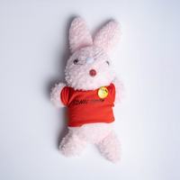 Sonic Youth Fuzzy Bunny Stuffed Animal - Pink – Club Never Sonic Youth Fuzzy Bunny Stuffed Animal - Pink – Club Never