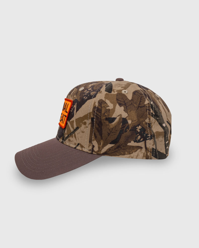 Heat Snapback - Camo