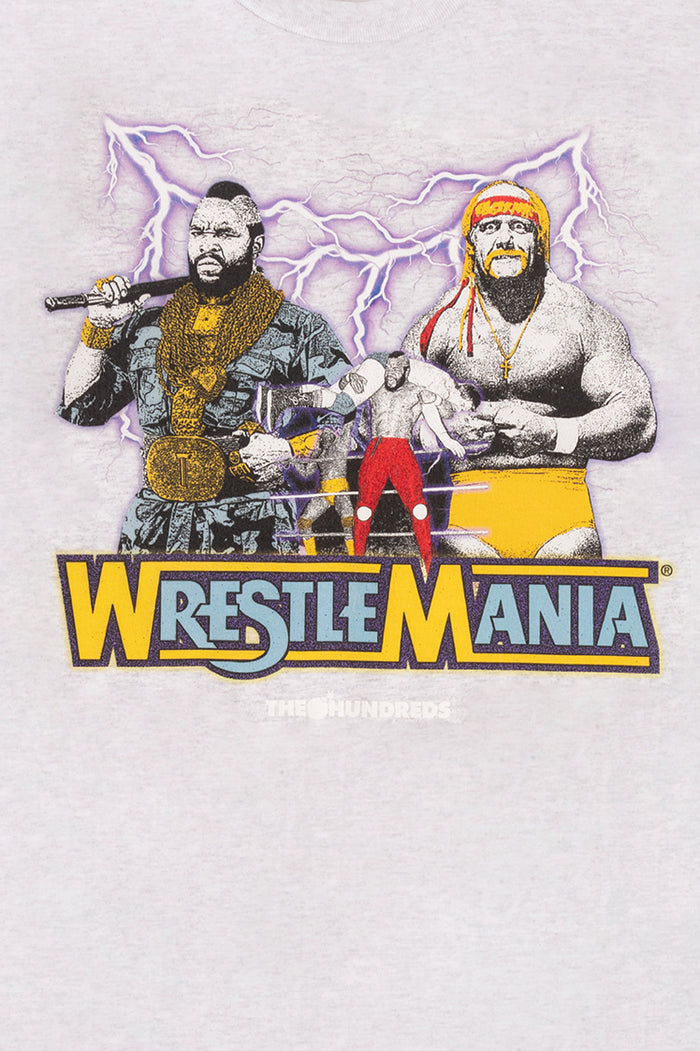 Hulk Hogan VS Mr. T Tee - Ash Heather