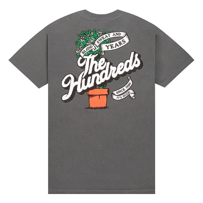 Rooted Tee - Charcoal