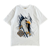 Dept. of Eagles - White